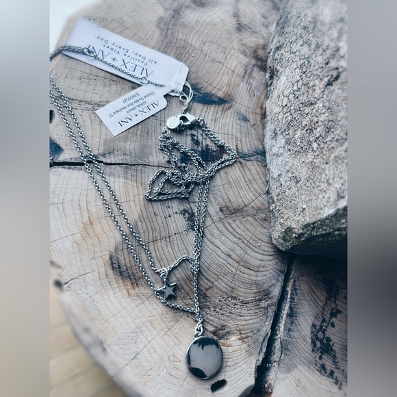 Alex and Ani Celestial Double Row Necklace NWT Silver Black Enamel M - Picture 9 of 9